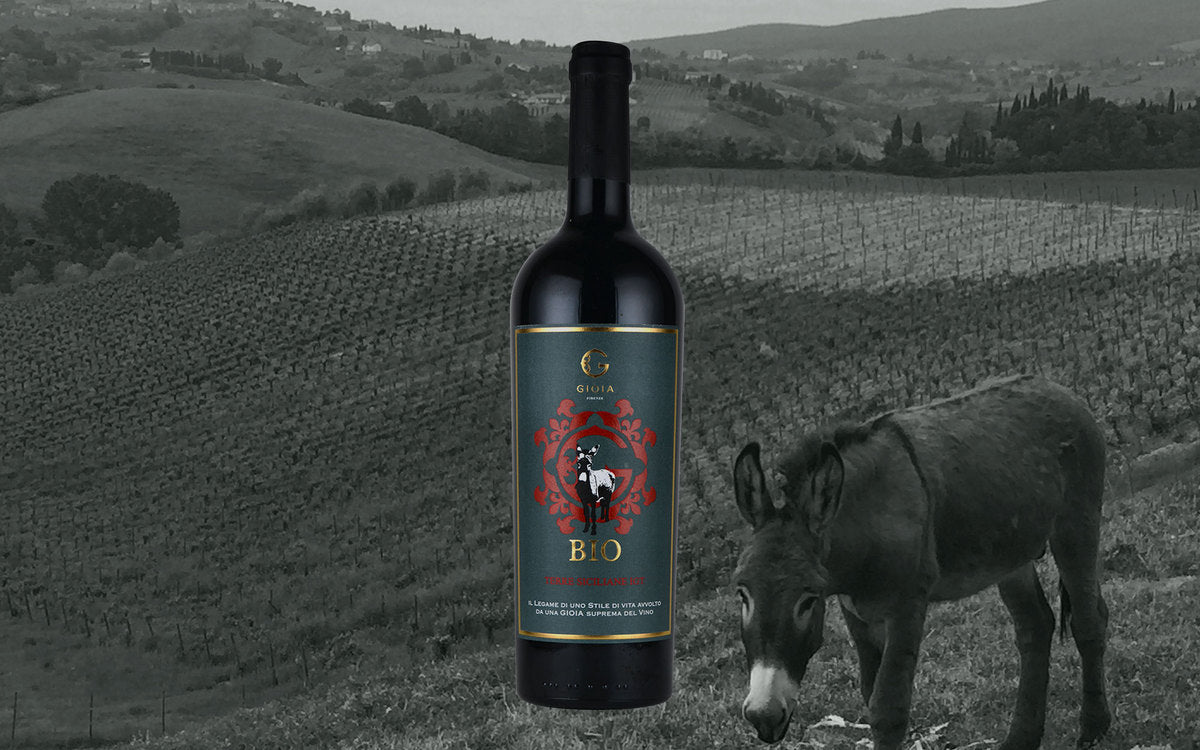 I.G.T. TERRE SICILIANE BIO ROSSO