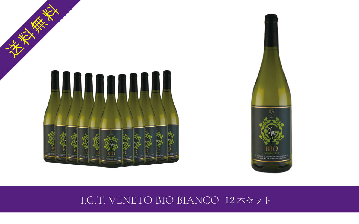I.G.T. VENETO BIO BIANCO 12本セット