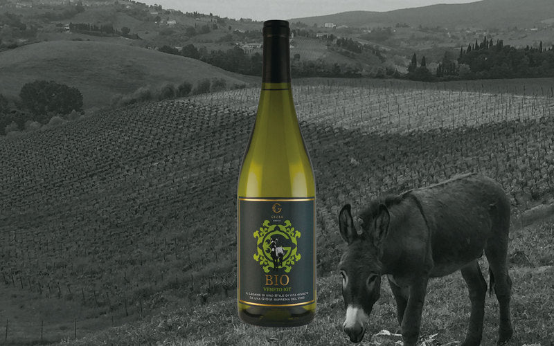 I.G.T. VENETO BIO BIANCO