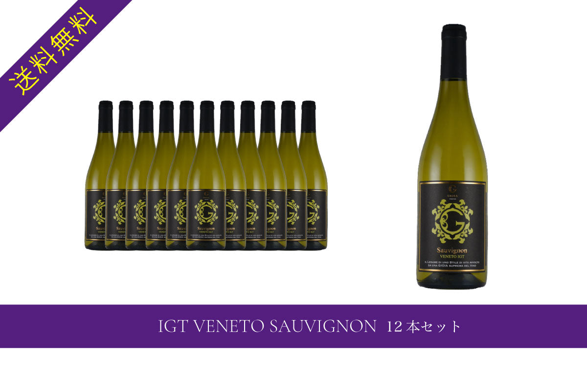 IGT VENETO SAUVIGNON 12本セット